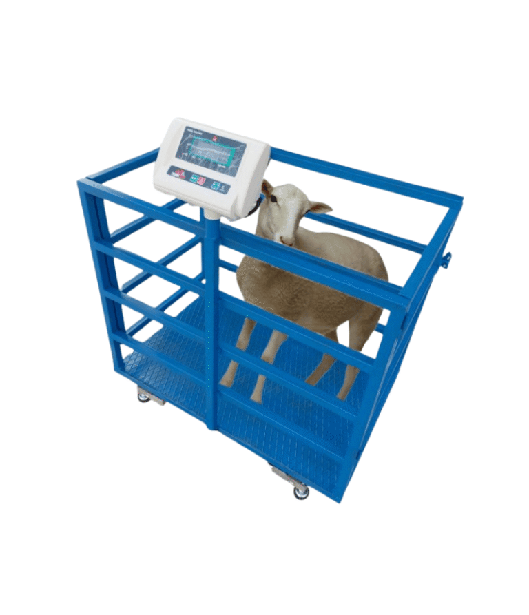 Waga dla owiec i kóz