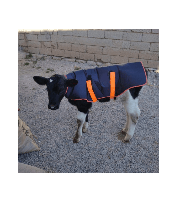 Koc ochronny dla cieląt