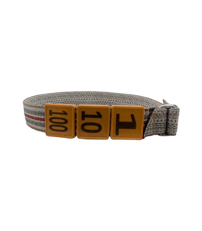 Pas identyfikacyjny dla bydła