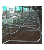 Wygrodzenia stanowiskowe freestall