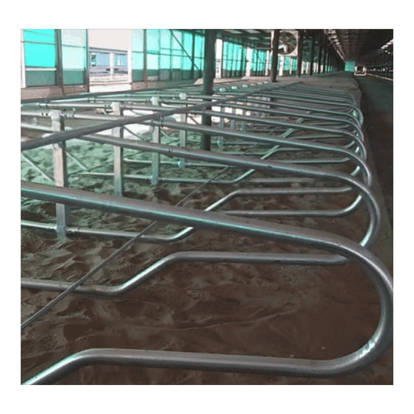 Wygrodzenia stanowiskowe freestall