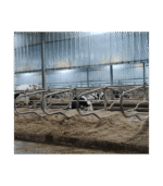 Wygrodzenia legowiskowe dla bydła – freestall stal ocynkowana + PE (2,1 m) - obrazek 2